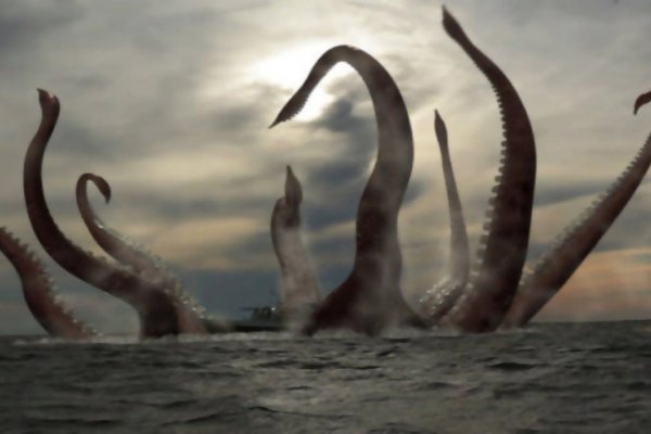 Kraken даркнет что это